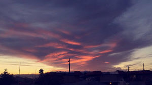 Meet your Posher, Ariana